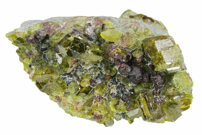Andradite Garnets & Diopside Crystal Association - Afghanistan #121360